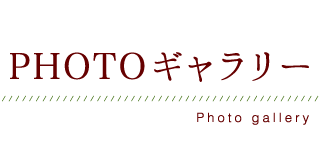 PHOTOギャラリー