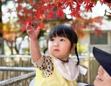園内のこども達の写真