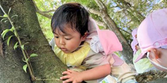 遊んでいるこども達の写真