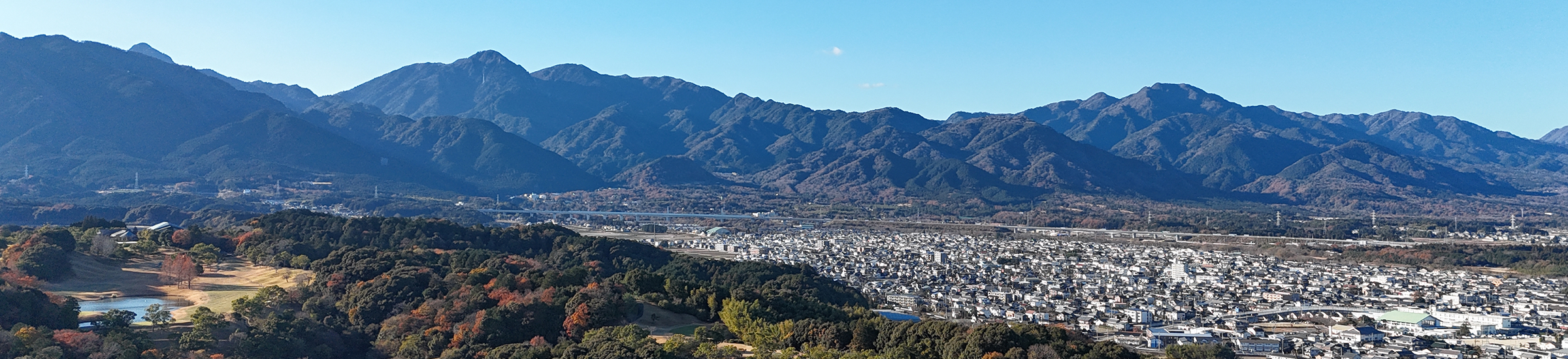 情報公開
